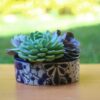Ideas para Regalo de Cumpleaños