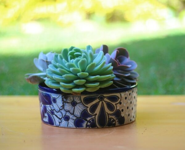 Ideas para Regalo de Cumpleaños